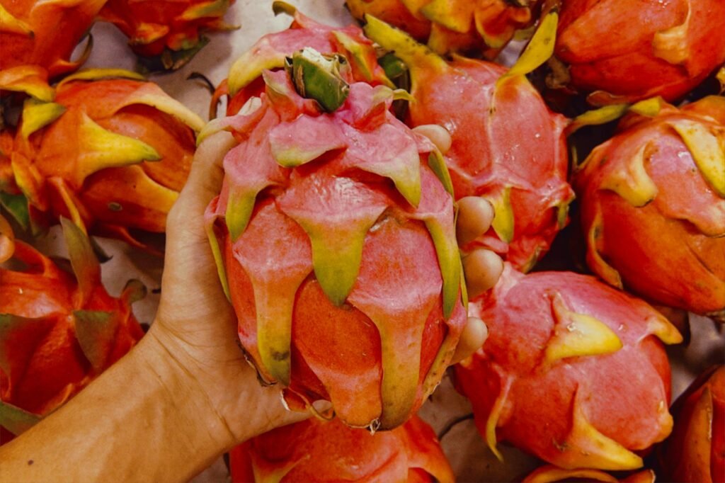 Para frutas tropicais brasileiras menos conhecidas, destacam-se o cambuci, cupuaçu, jabuticaba, mangaba, cajuí, umbu, bacuri,