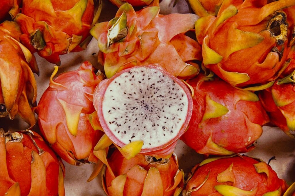 Para receitas veganas com toque brasileiro, explore pratos que reinventam clássicos nacionais com ingredientes vegetais, mant