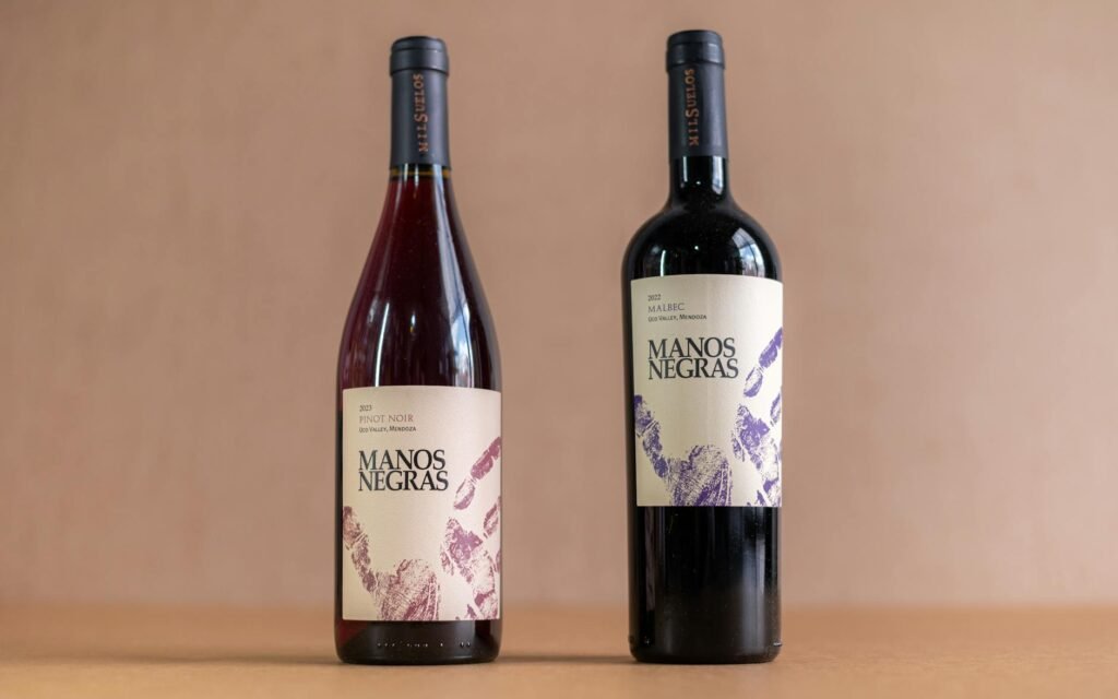 Desmistificando o Rótulo de Vinho: Seu Guia Definitivo para Iniciantes — como ler rótulo de vinho para iniciantes | De Colher
