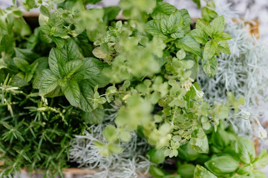 Como usar ervas aromáticas frescas em pratos — como usar ervas aromáticas frescas em pratos | De Colher para Colher