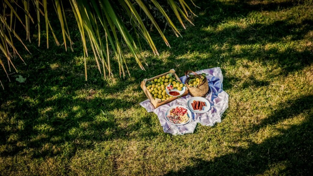 Piquenique a Dois: O Guia Definitivo do Que Preparar para um Encontro Inesquecível — o que preparar para um piquenique a dois