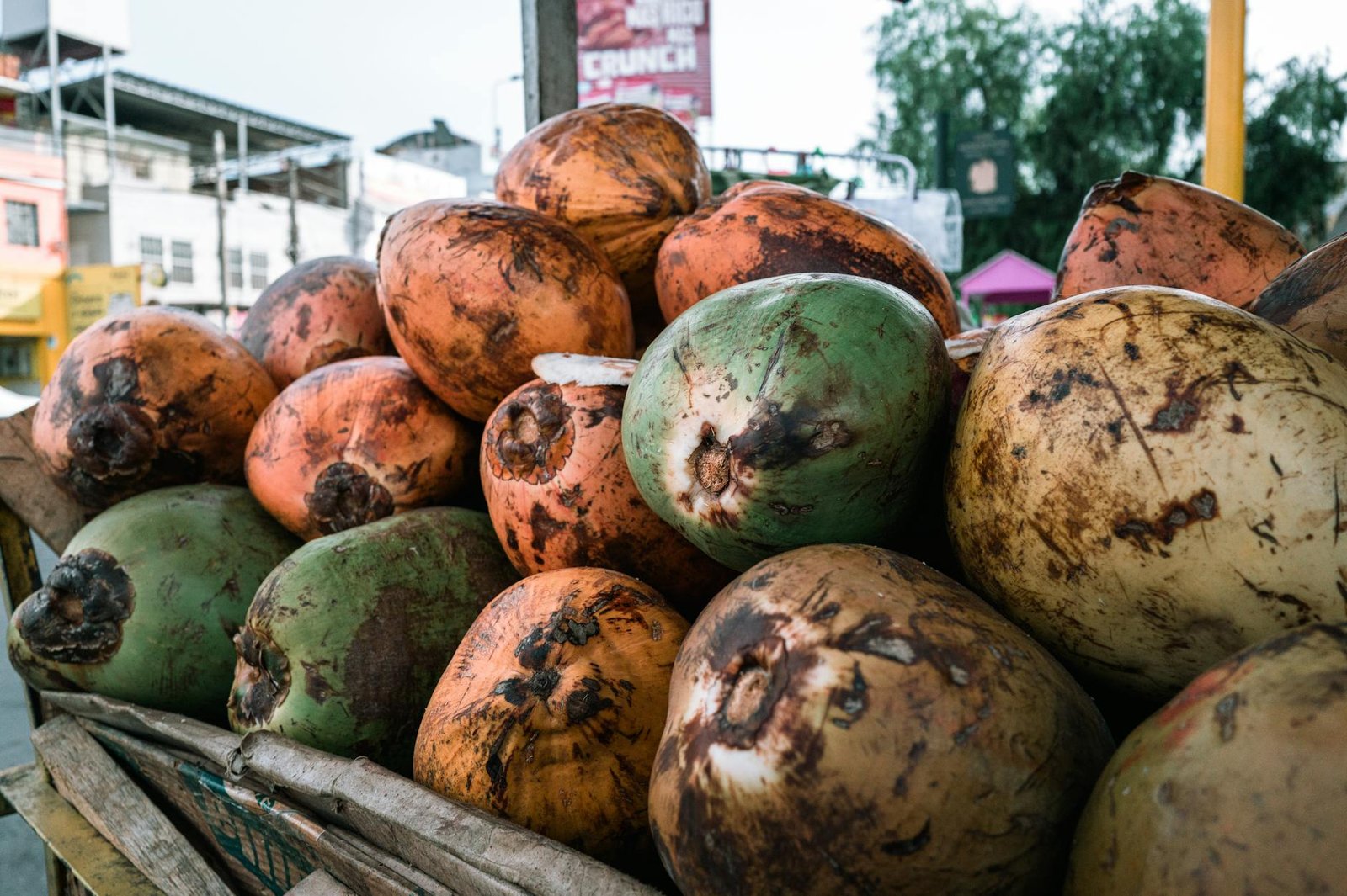 Água de Coco Gelada com Hortelã: A Receita Perfeita para Refrescar e Hidratar — receita de água de coco gelada com hortelã - De Colher para Colher