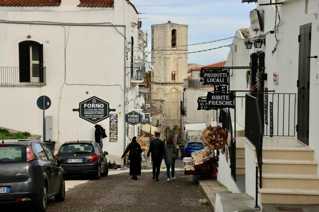 Receita de Arroz de Forno com Frango Desfiado: Sabor e Praticidade que Encantam! — receita de arroz de forno com frango desfi