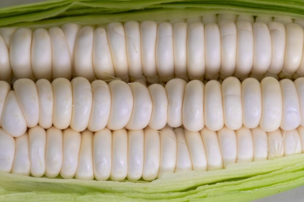 Canjica Branca com Amendoim: A Receita Perfeita para um Momento Delicioso e Cremoso — receita de canjica branca com amendoim